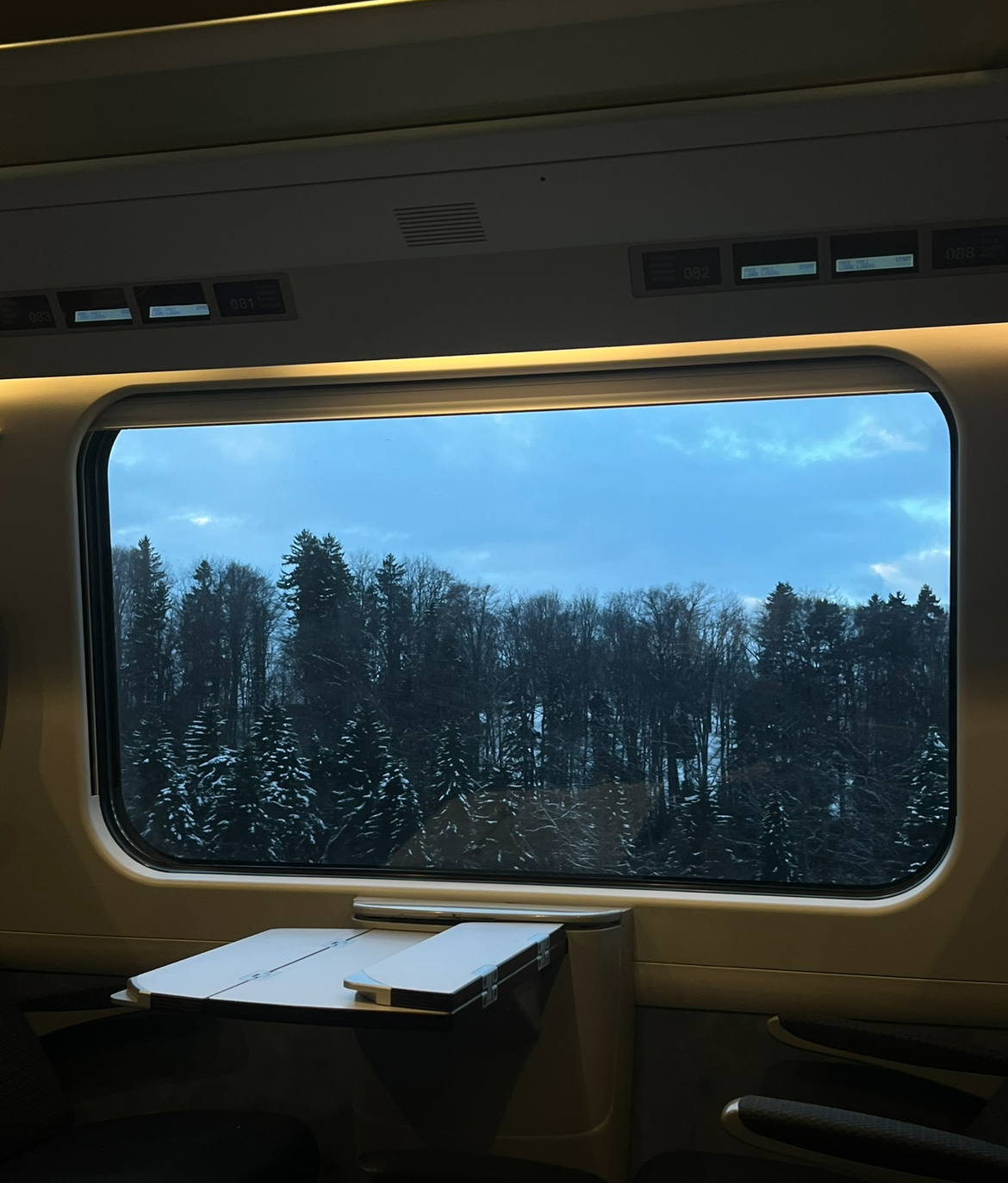 A picture of me in Switzerland